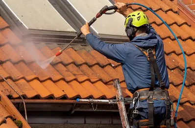Démoussage et hydrofuge de toiture à Génelard